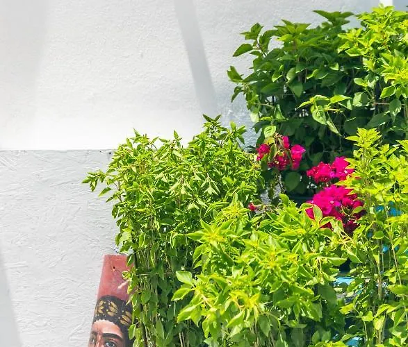 Plakes Sea View Appartement *